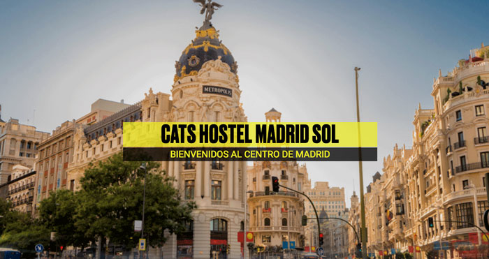 portada cats hostels madrid sol