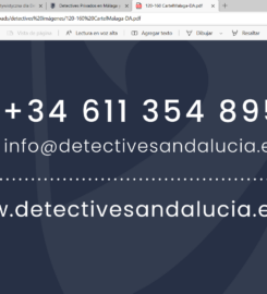 Detectives Andalucía